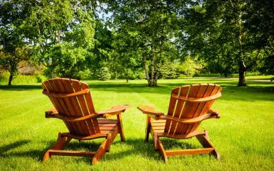 5 Tips to Help You Care for Your Trees