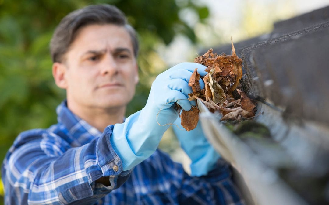 3 Tips On How To Clean Gutters Safely And Efficiently