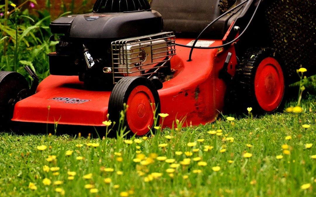 Revitalize Your Yard: Essential Spring Lawn Maintenance Tips